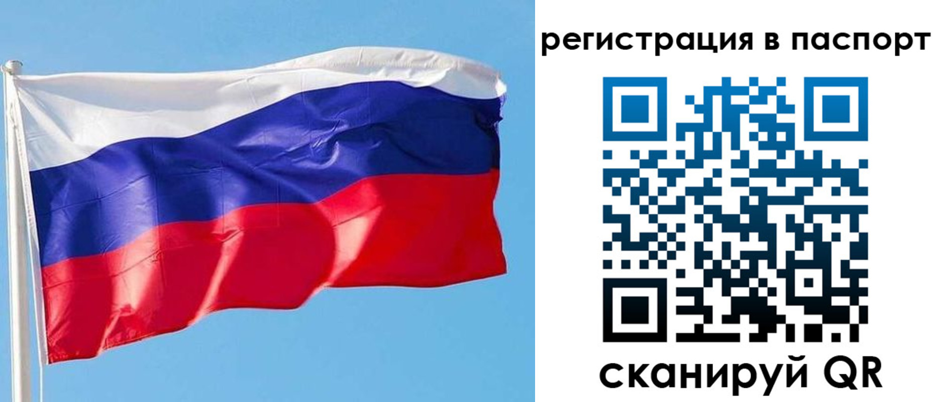прописка законно в Новокуйбышевске